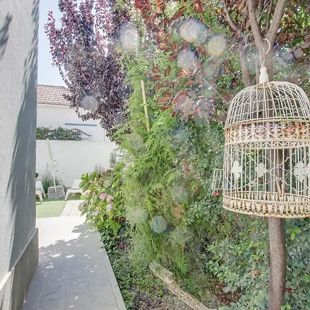 White And Light House