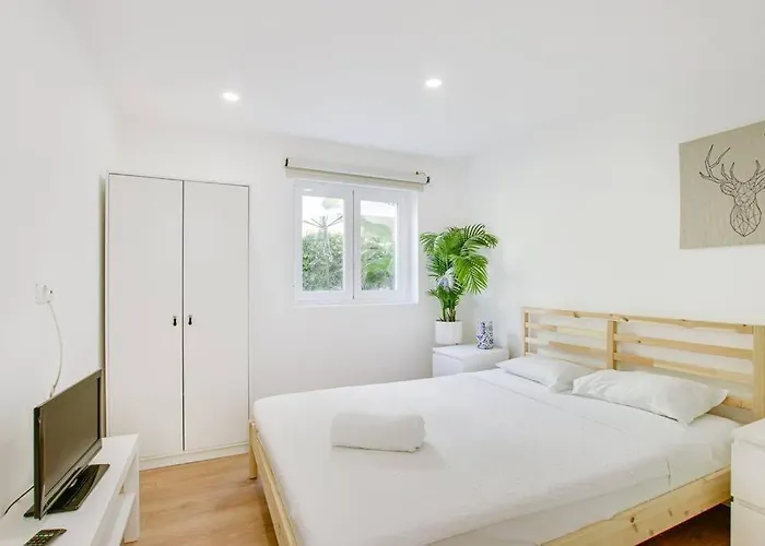 White And Light House *