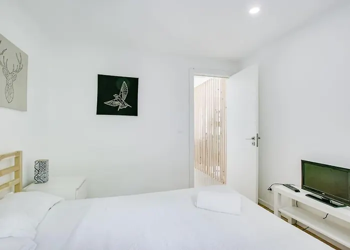 White And Light House